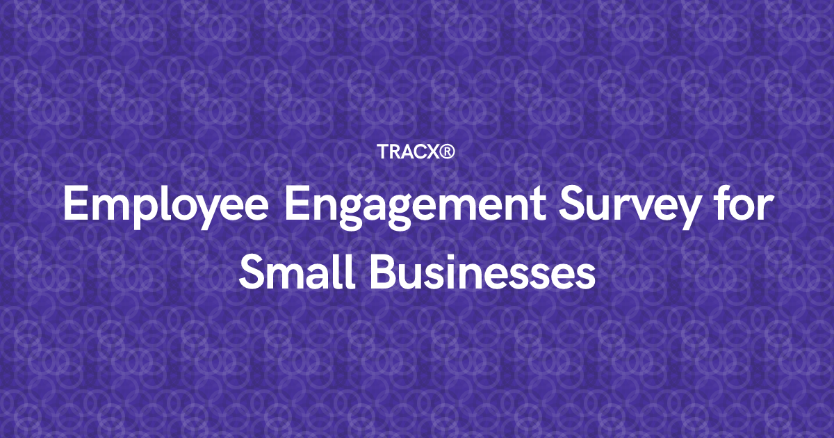 Employee Engagement Survey for Small Businesses