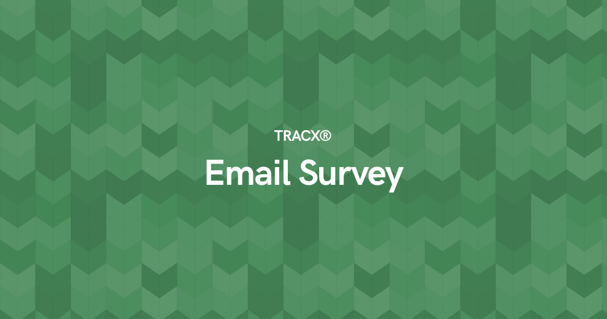 Email Survey