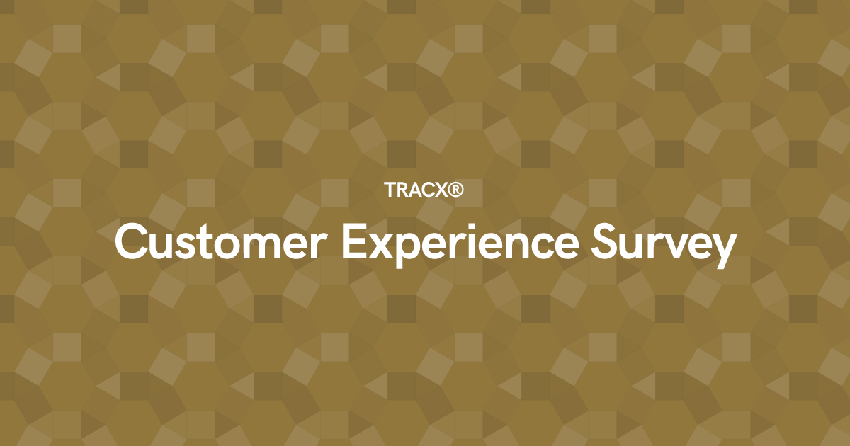 Customer Experience Survey