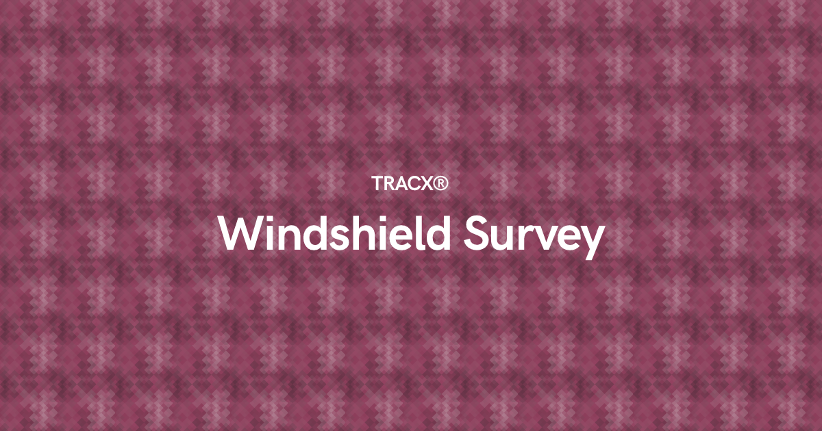 Windshield Survey