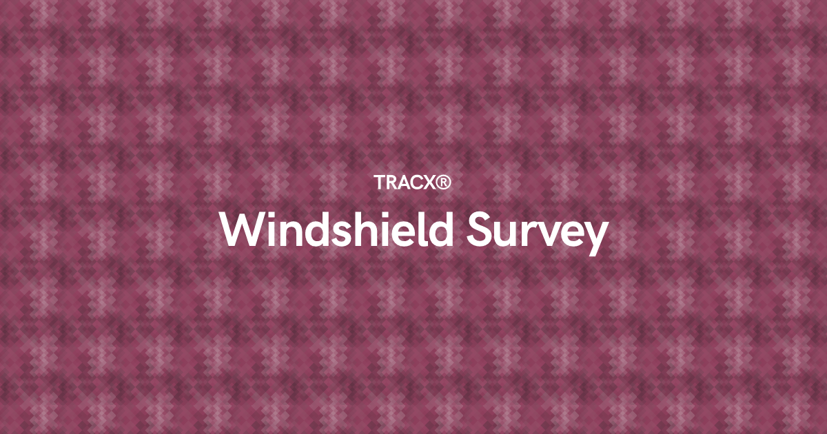 Windshield Survey