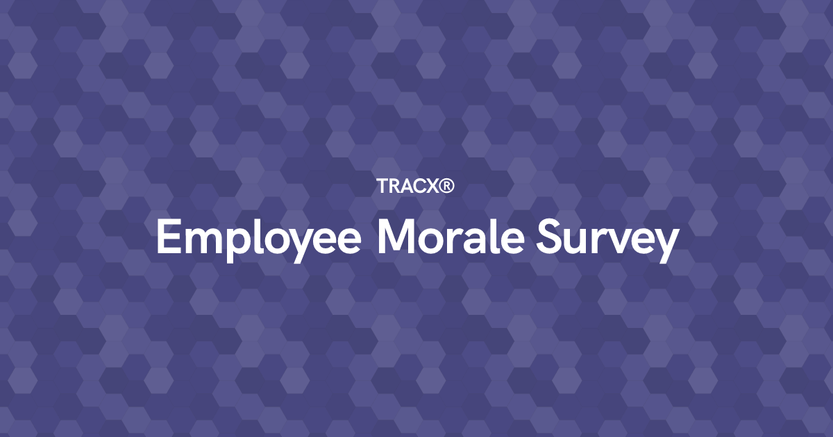 Employee Morale Survey