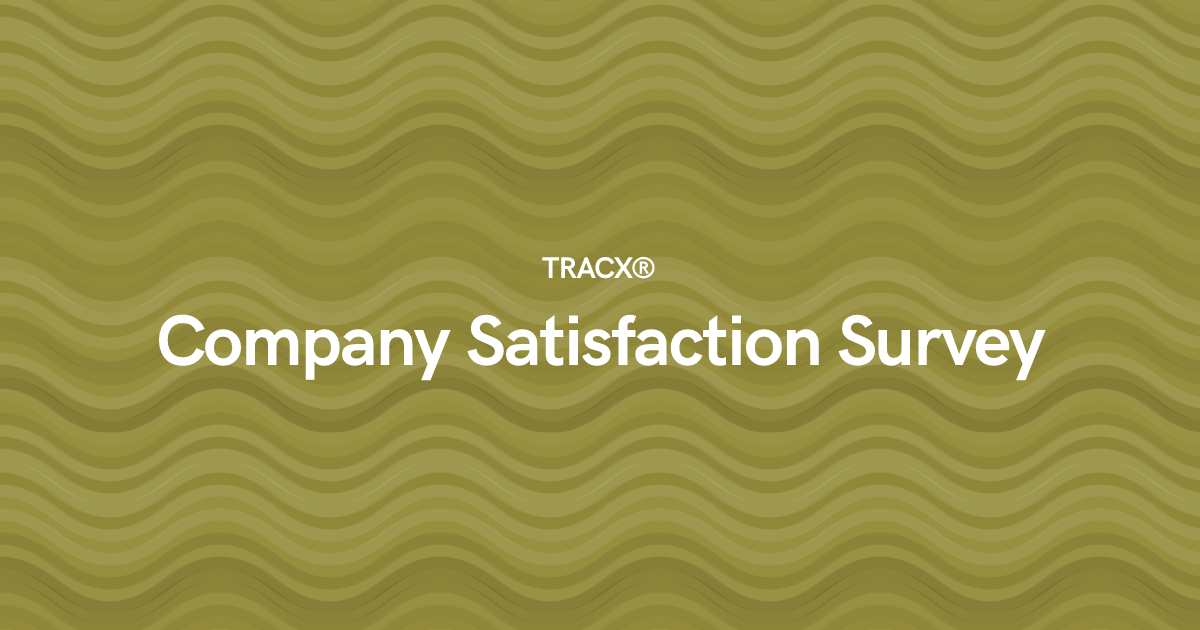 Company Satisfaction Survey