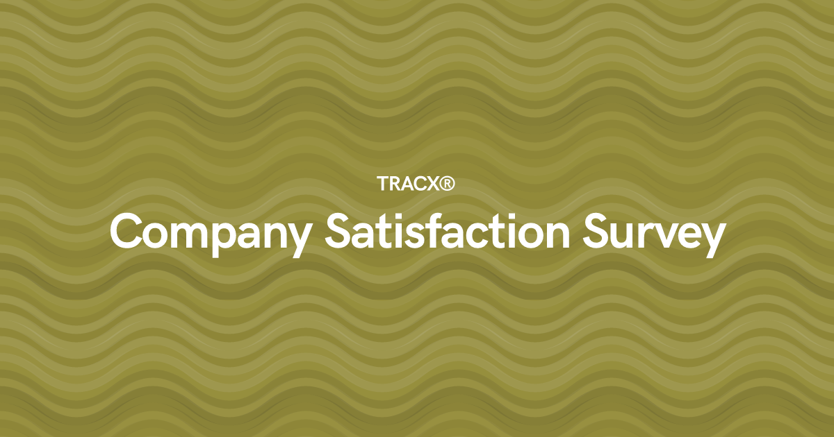 Company Satisfaction Survey