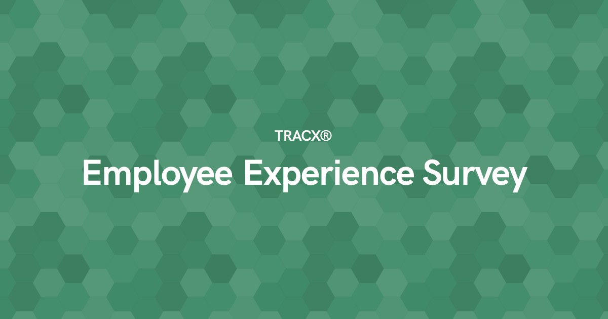 Employee Experience Survey