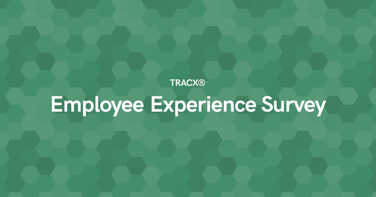 Employee Experience Survey