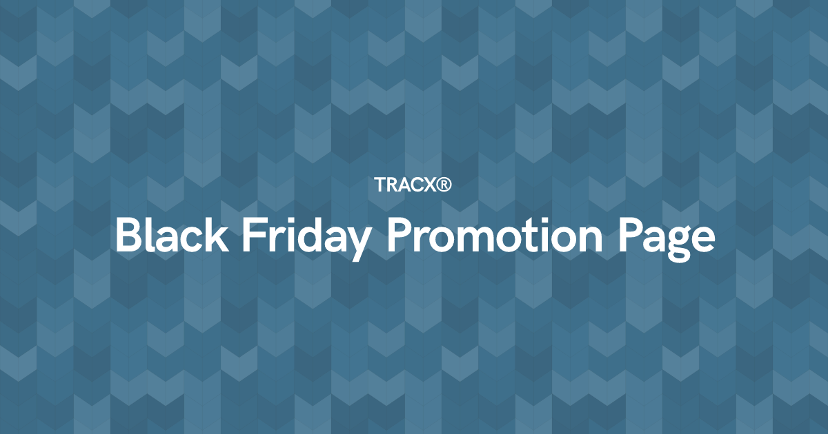 Black Friday Promotion Page