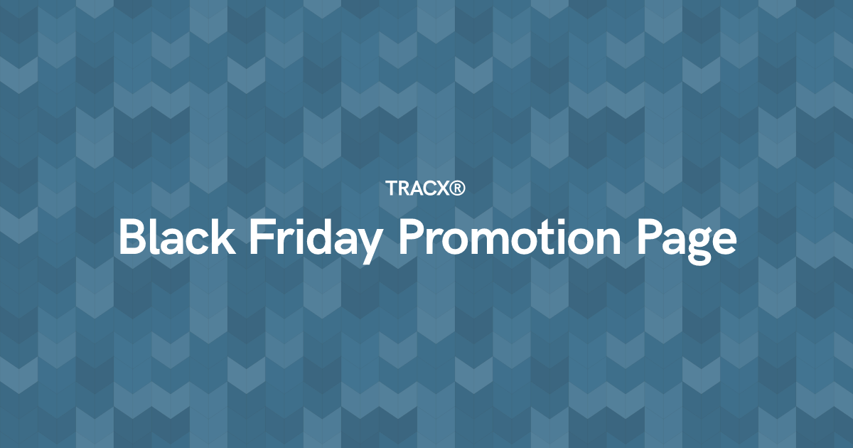 Black Friday Promotion Page