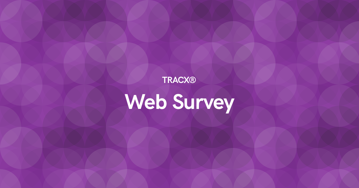 Web Survey