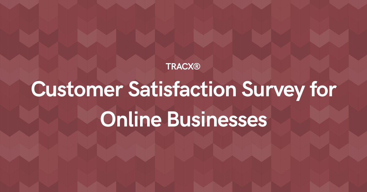 Customer Satisfaction Survey for Online Businesses