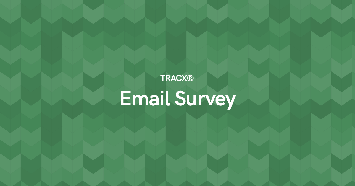 Email Survey