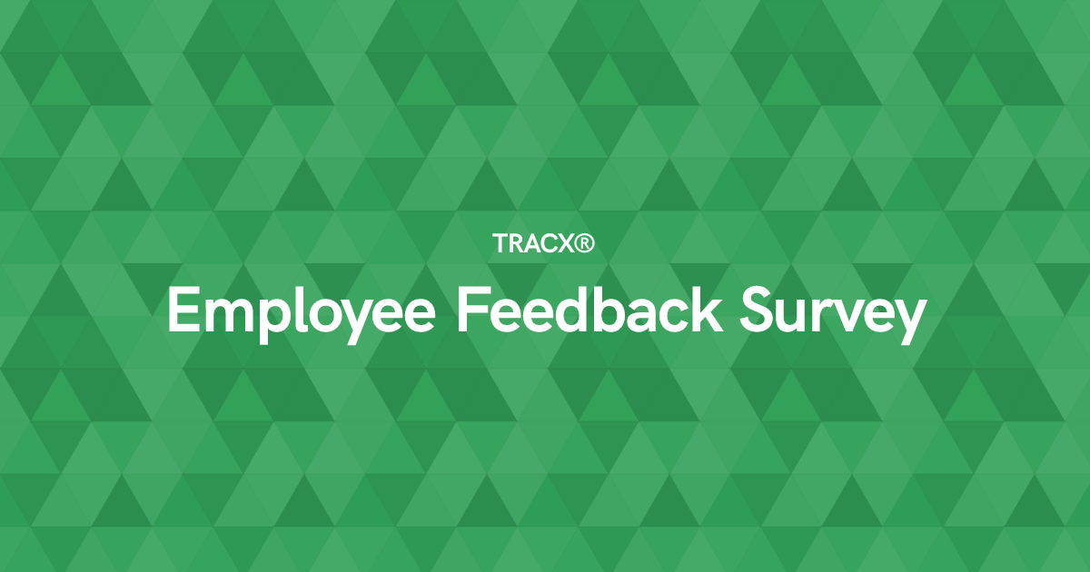 Employee Feedback Survey