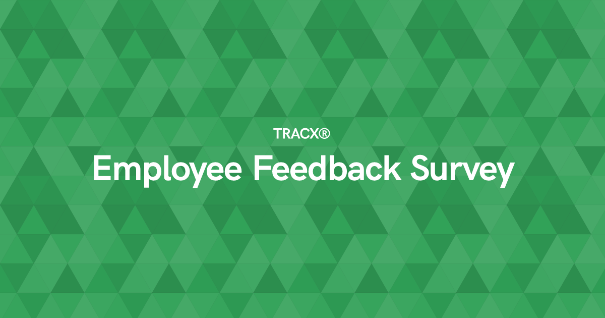 Employee Feedback Survey