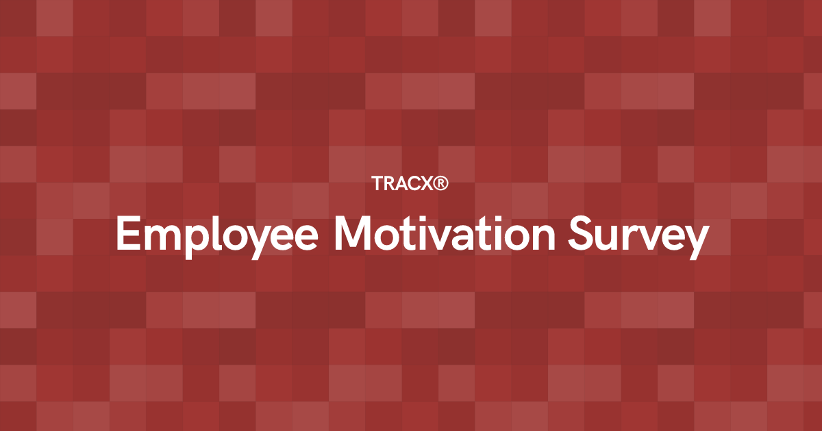 Employee Motivation Survey
