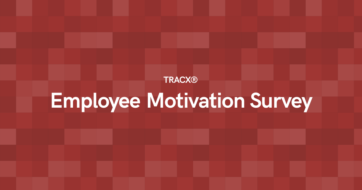 Employee Motivation Survey