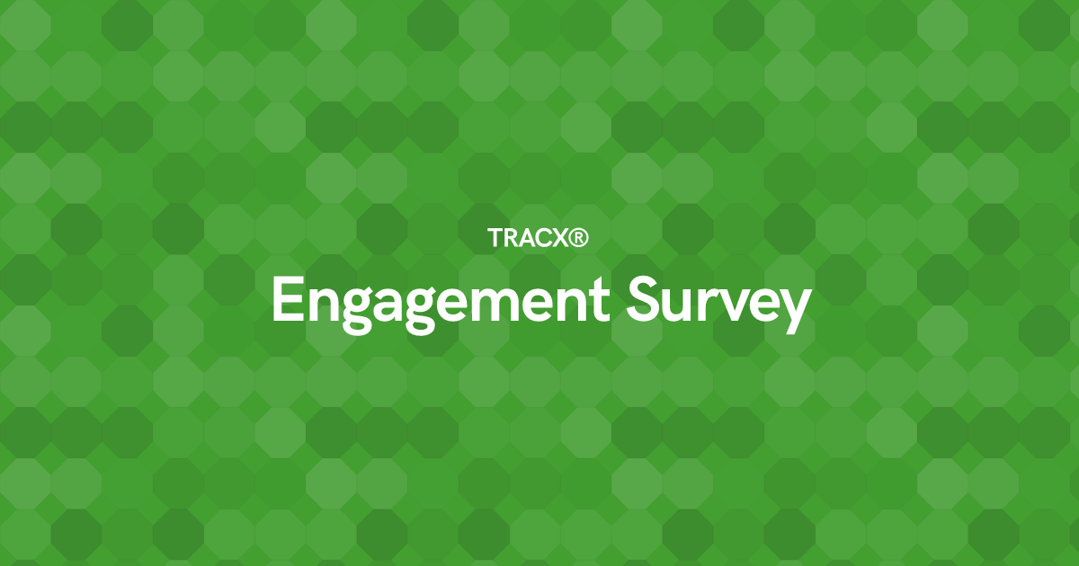 Engagement Survey