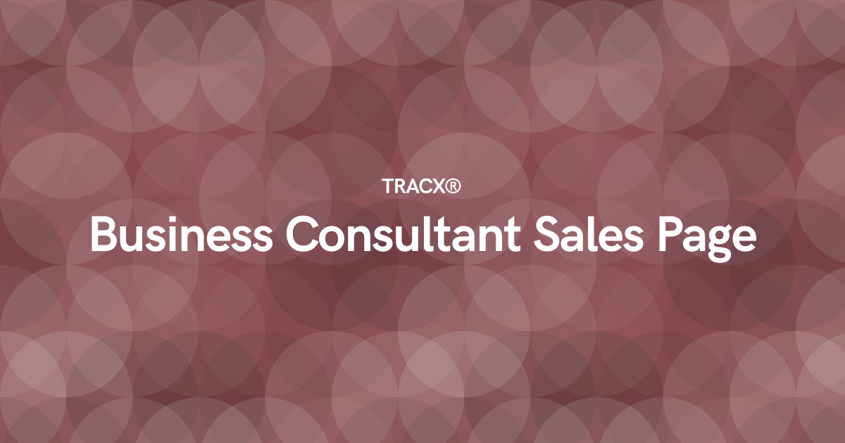 Business Consultant Sales Page