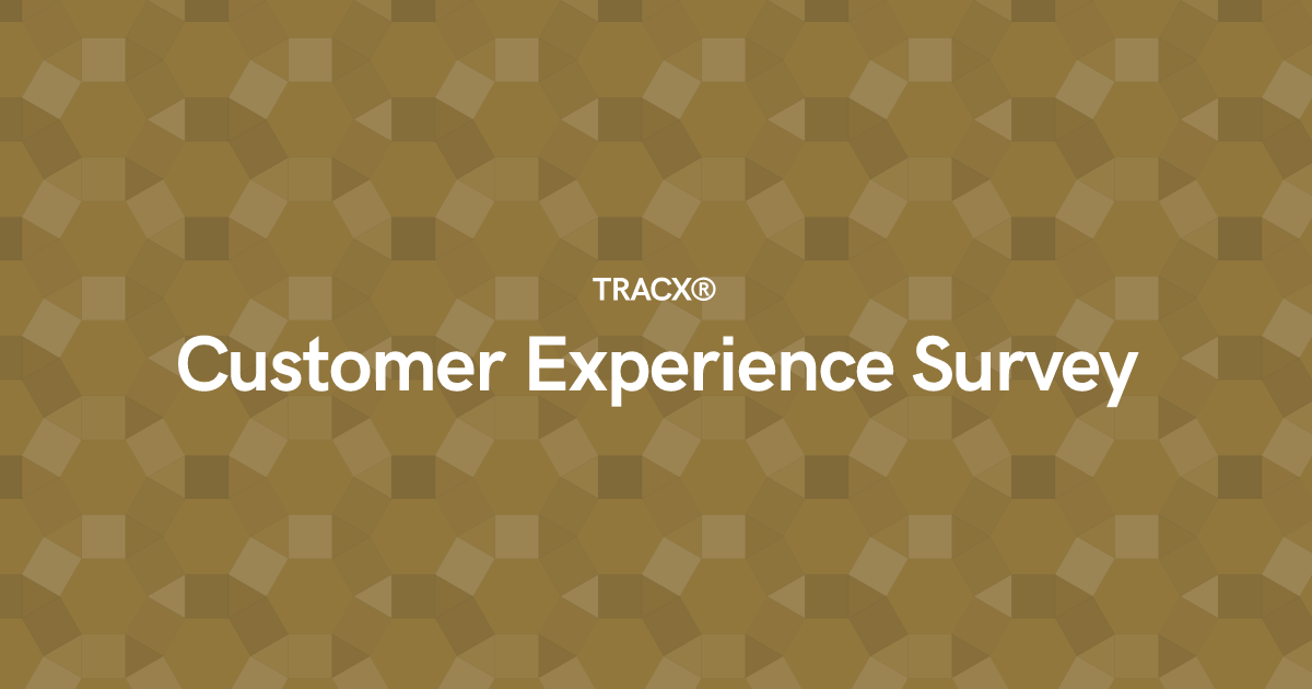 Customer Experience Survey